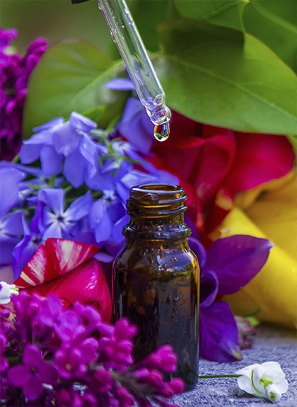 Esencias florales en Santander